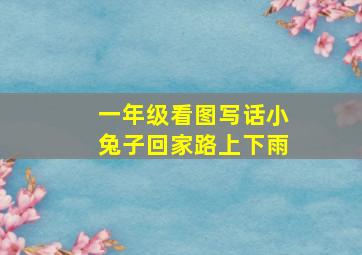 一年级看图写话小兔子回家路上下雨