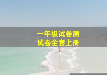 一年级试卷测试卷全套上册