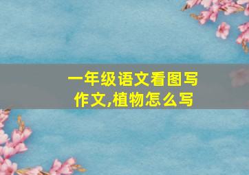 一年级语文看图写作文,植物怎么写