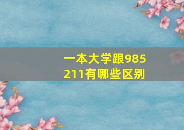 一本大学跟985211有哪些区别