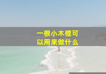 一根小木棍可以用来做什么