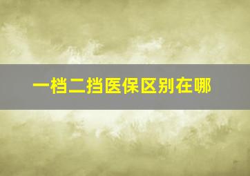 一档二挡医保区别在哪