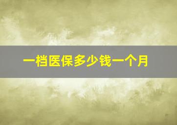 一档医保多少钱一个月