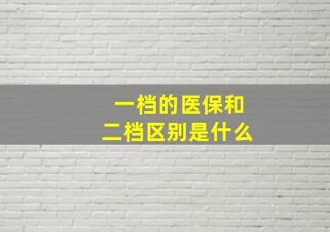 一档的医保和二档区别是什么