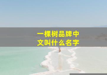 一棵树品牌中文叫什么名字