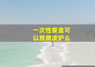 一次性餐盒可以放微波炉么