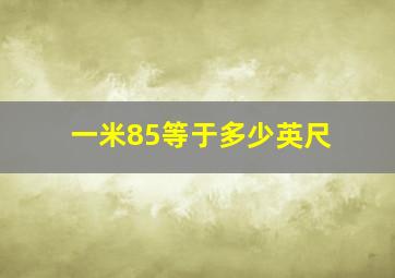 一米85等于多少英尺