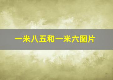 一米八五和一米六图片