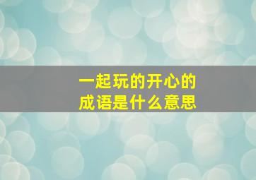 一起玩的开心的成语是什么意思