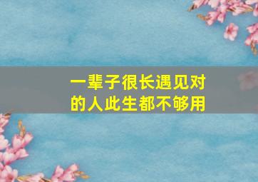 一辈子很长遇见对的人此生都不够用