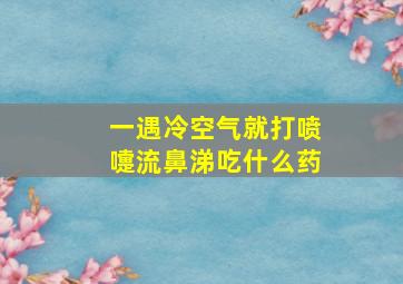 一遇冷空气就打喷嚏流鼻涕吃什么药