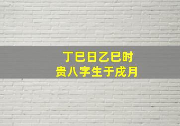 丁巳日乙巳时贵八字生于戌月