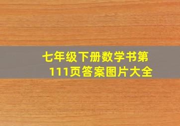 七年级下册数学书第111页答案图片大全