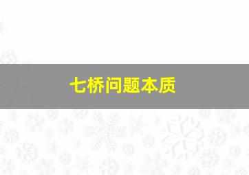 七桥问题本质