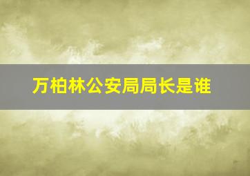 万柏林公安局局长是谁