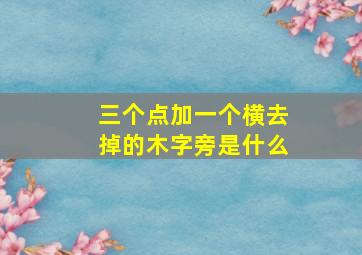 三个点加一个横去掉的木字旁是什么