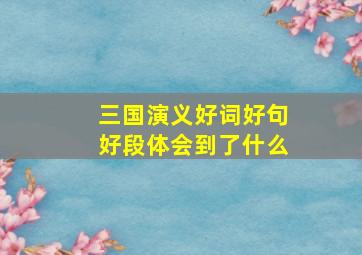 三国演义好词好句好段体会到了什么