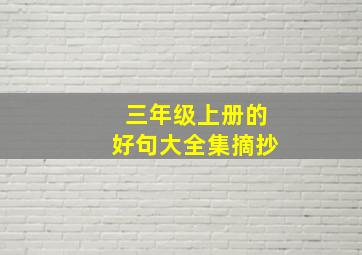 三年级上册的好句大全集摘抄