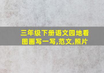 三年级下册语文园地看图画写一写,范文,照片