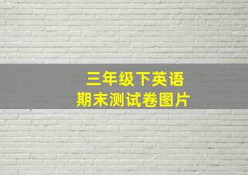 三年级下英语期末测试卷图片