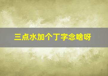 三点水加个丁字念啥呀