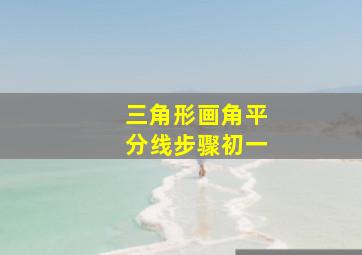 三角形画角平分线步骤初一