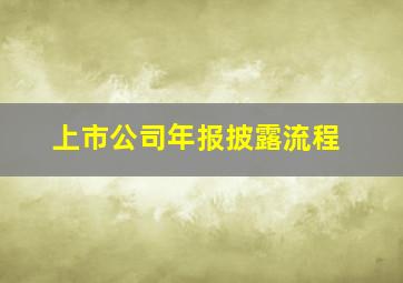 上市公司年报披露流程