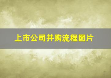 上市公司并购流程图片