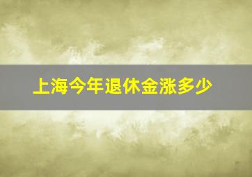 上海今年退休金涨多少