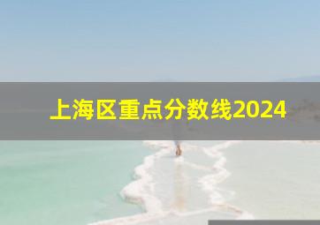 上海区重点分数线2024