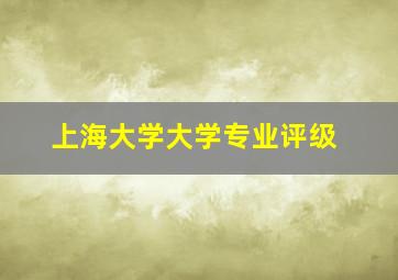 上海大学大学专业评级