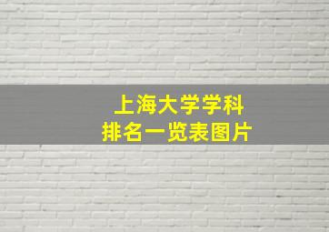 上海大学学科排名一览表图片