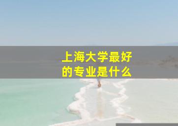 上海大学最好的专业是什么