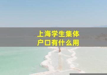 上海学生集体户口有什么用