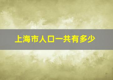 上海市人口一共有多少