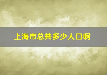 上海市总共多少人口啊