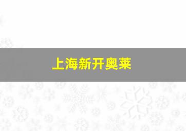 上海新开奥莱