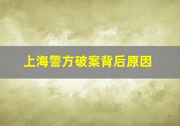 上海警方破案背后原因