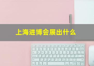 上海进博会展出什么