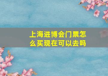 上海进博会门票怎么买现在可以去吗