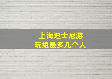 上海迪士尼游玩组最多几个人