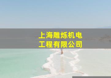 上海雕烁机电工程有限公司