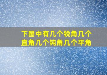 下图中有几个锐角几个直角几个钝角几个平角