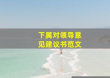 下属对领导意见建议书范文