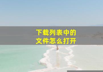 下载列表中的文件怎么打开