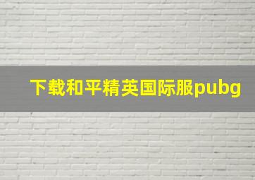 下载和平精英国际服pubg