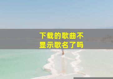 下载的歌曲不显示歌名了吗