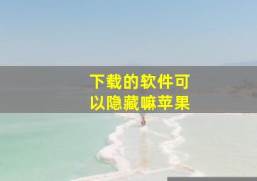 下载的软件可以隐藏嘛苹果