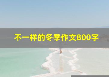 不一样的冬季作文800字