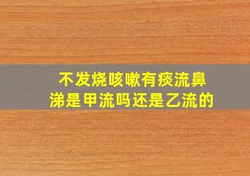 不发烧咳嗽有痰流鼻涕是甲流吗还是乙流的